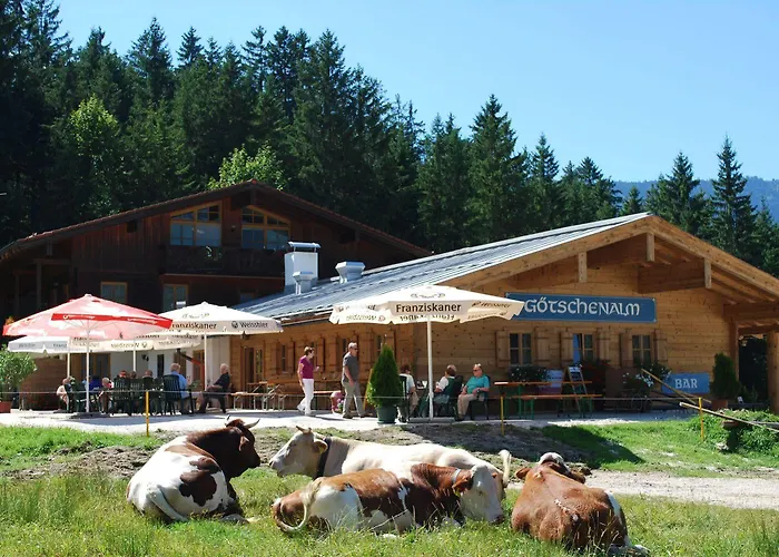 Alpengasthof Goetschenalm